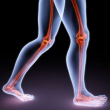 Biomechanics and Orthotic Therapy