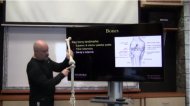 Online Certification in Biomechanics and Human Movement