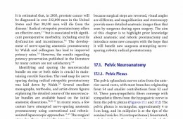 Nerve sparing Robotic prostatectomy